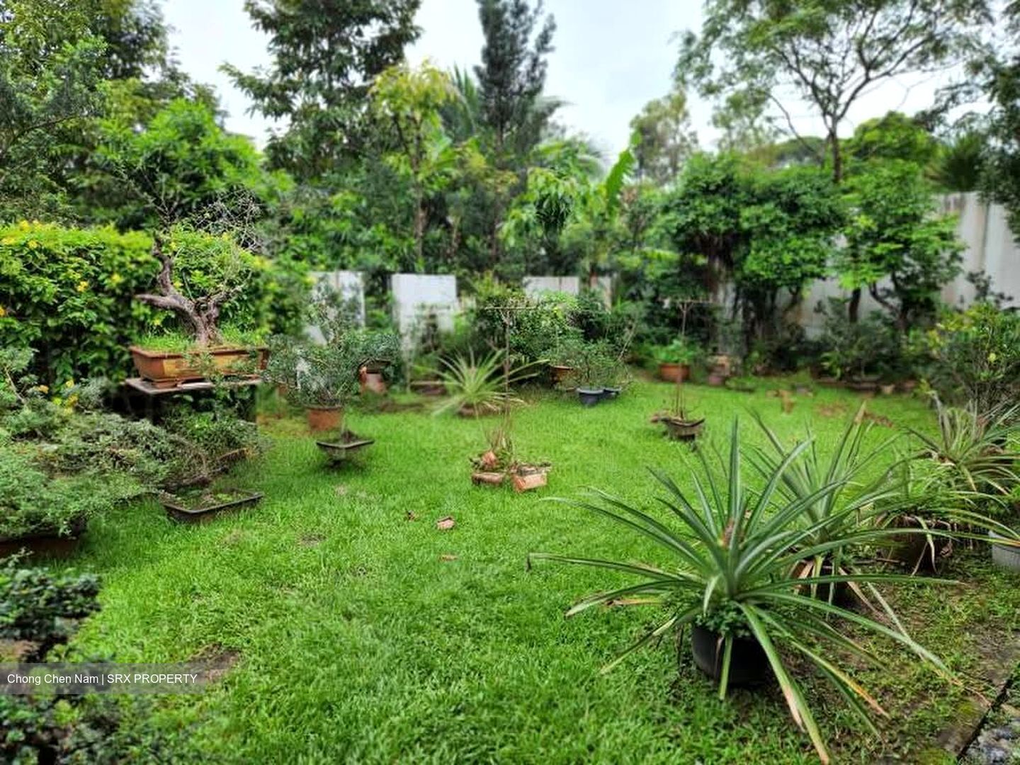 Frankel Estate (D14), Detached #595438371